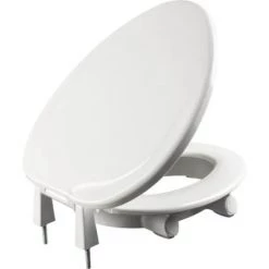 Bemis Clean Shield© Elongated Closed-Front Toilet Seat and Lid with Soft Close