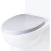Eago Elongated Closed-Front Toilet Seat with Soft Close Hinges -Toilet Seats Shop eago r 359seat 8034631