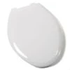 Jones Stephens Elongated Closed-Front Toilet Seat Slow-Close Adjustable QuicKlean® Hinge -Toilet Seats Shop jones stephens c1b3e400 4295008