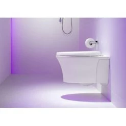 Kohler Reveal Elongated Closed-Front Toilet Seat with Grip Tight Bumpers, Quiet-Close Seat, and Quick-Attach Hinges -Toilet Seats Shop kohler 4008 imagegallery2