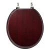 Signature Hardware Luxury Toilet Seat - Mahogany Standard Hinges - Round Bowl -Toilet Seats Shop signature hardware 153855