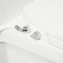 Signature Hardware Eubanks Elongated Bidet Seat -Toilet Seats Shop signature hardware 436886 control detail 9