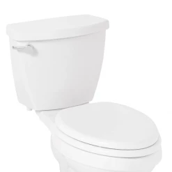 Signature Hardware Bradenton and Grayvik Elongated Closed-Front Toilet Seat And Lid with Soft Close and Quick Release